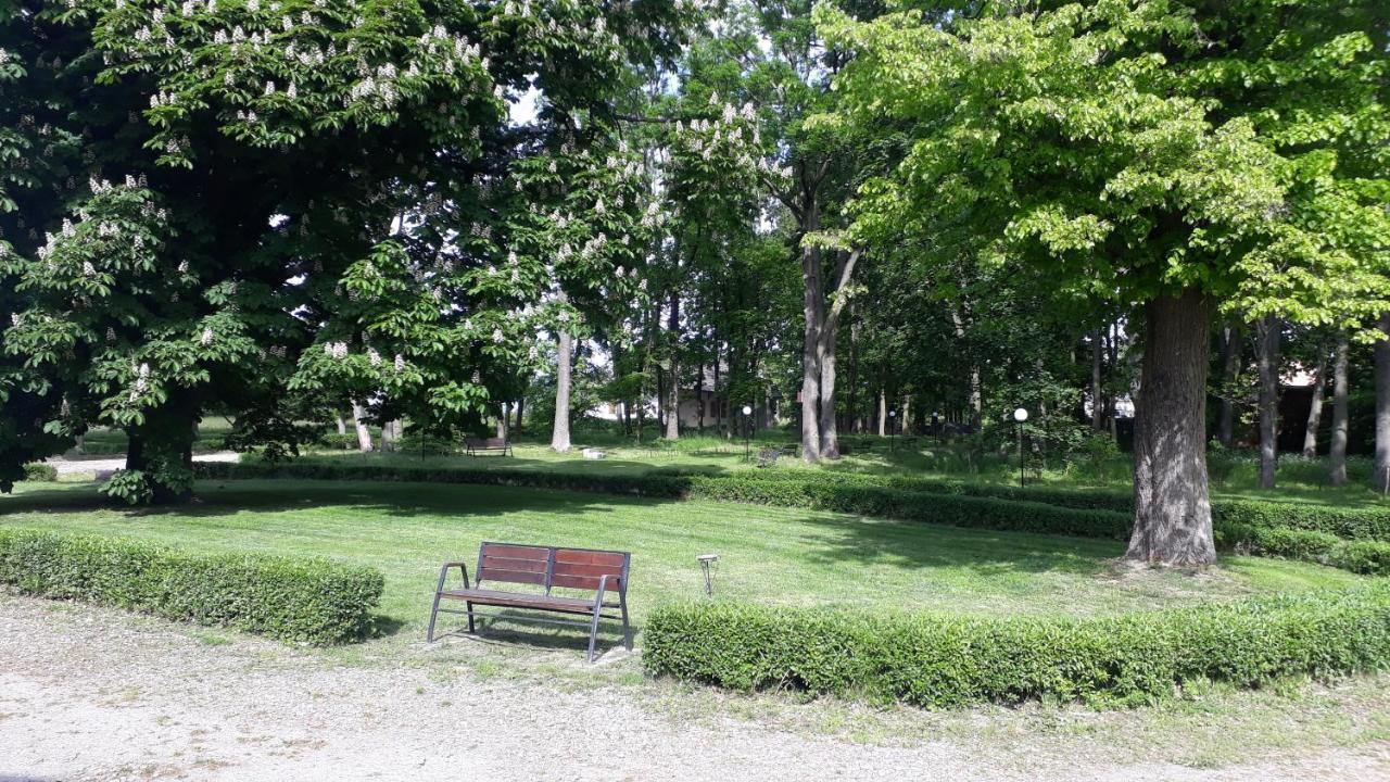 Bed and Breakfast Dwor Strzyzew Zelazowa Wola Экстерьер фото