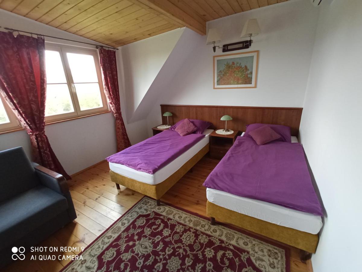 Bed and Breakfast Dwor Strzyzew Zelazowa Wola Экстерьер фото