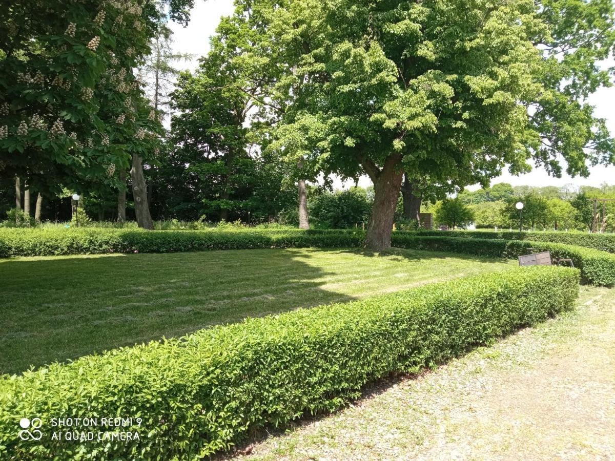 Bed and Breakfast Dwor Strzyzew Zelazowa Wola Экстерьер фото