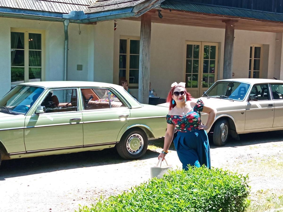 Bed and Breakfast Dwor Strzyzew Zelazowa Wola Экстерьер фото