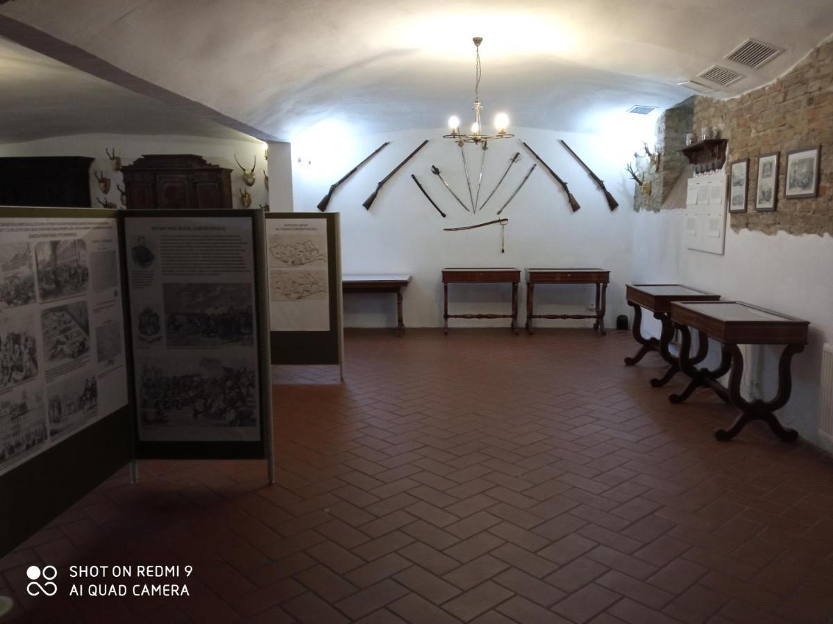 Bed and Breakfast Dwor Strzyzew Zelazowa Wola Экстерьер фото